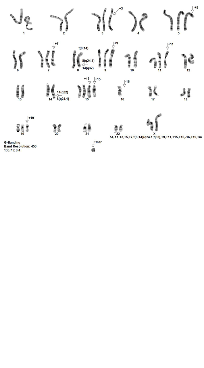 Image of pairs of DNA strands under a microscope